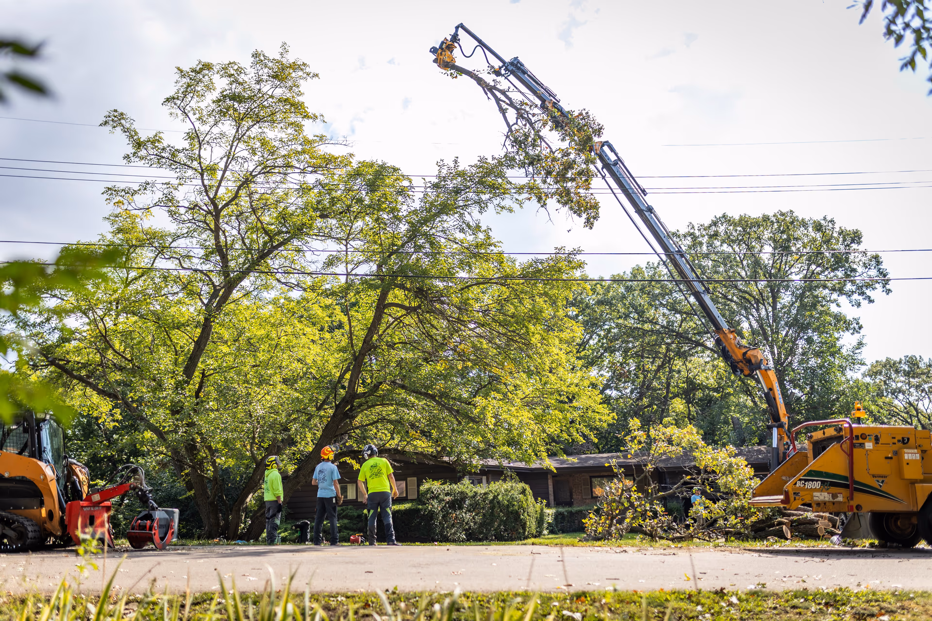 Tree Wise Men crane removing a large-canopy tree on a Southern Wisconsin job site