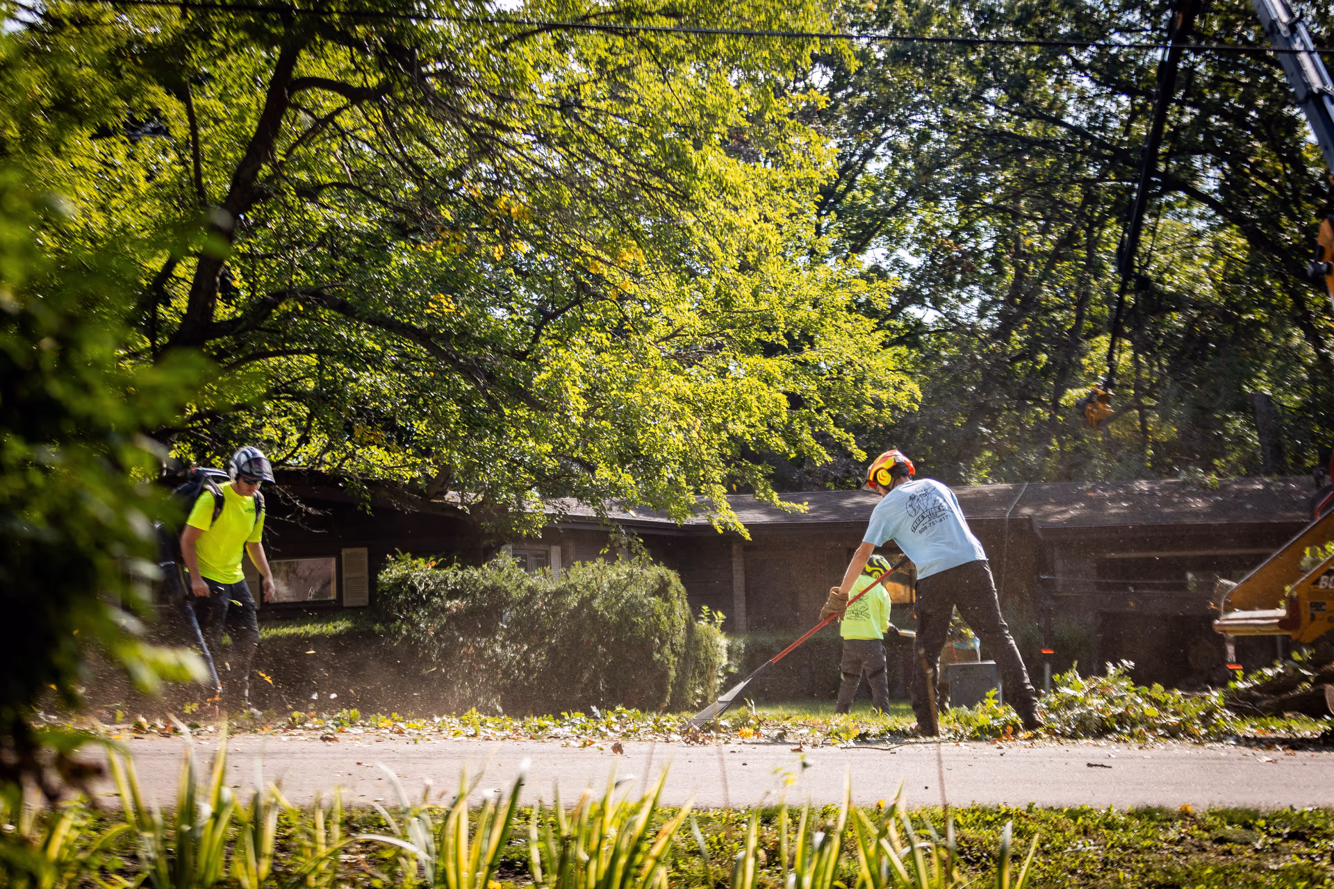 Tree Wise Men crew completing final cleanup after a removal
