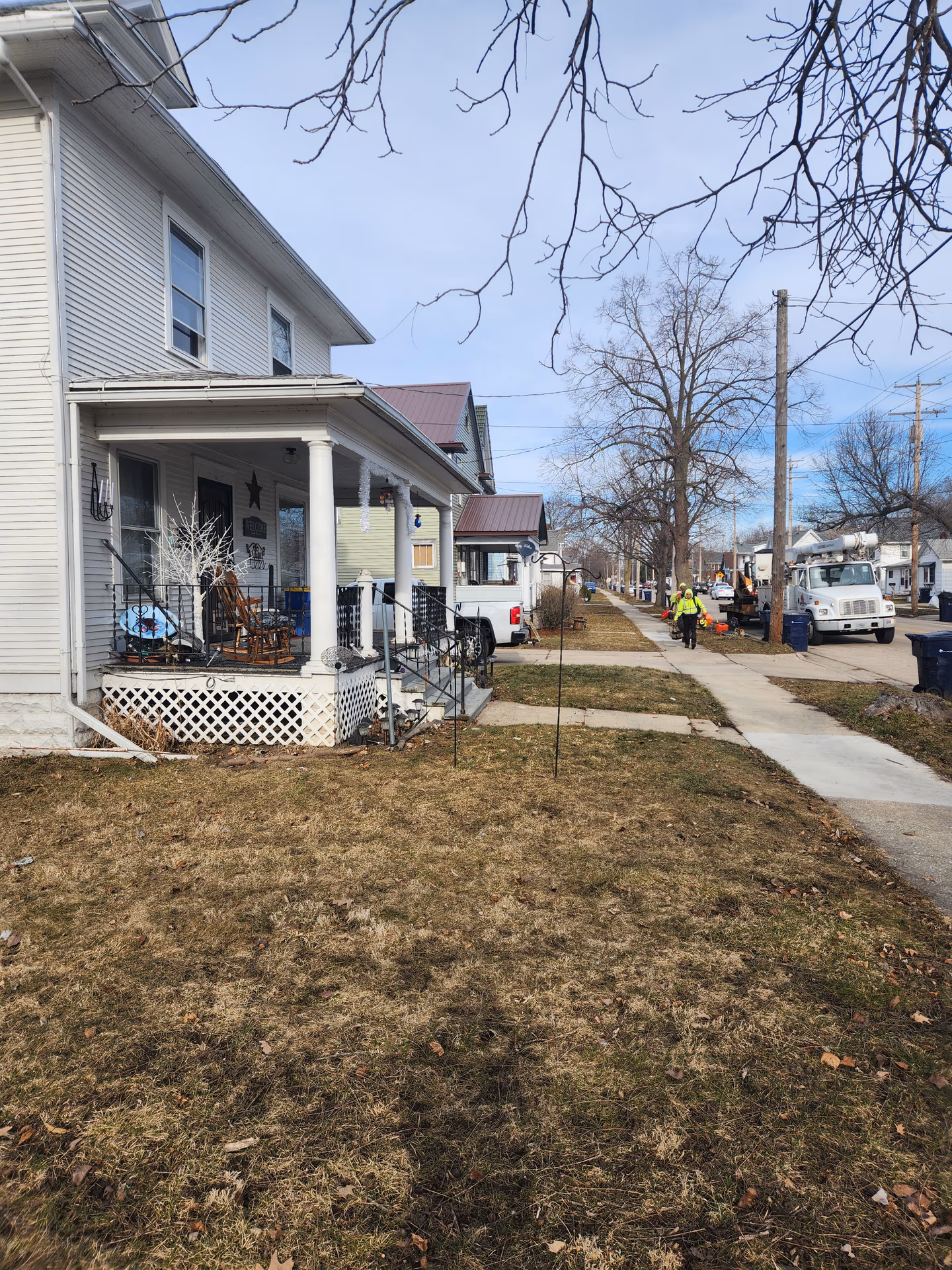 Large Backyard Tree Removal — Janesville