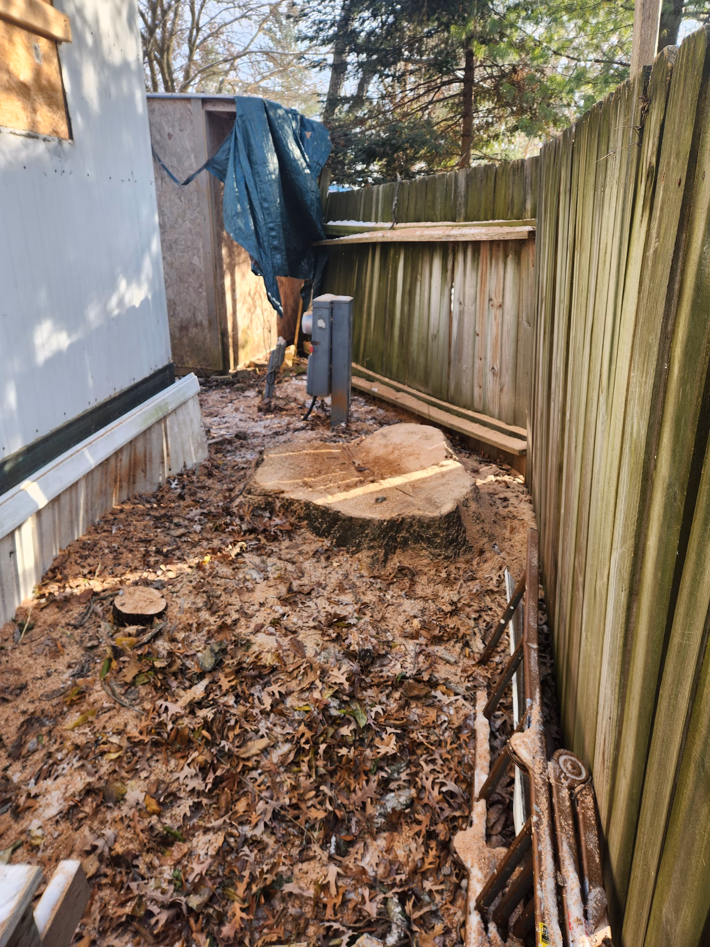 Stump Grinding & Removal