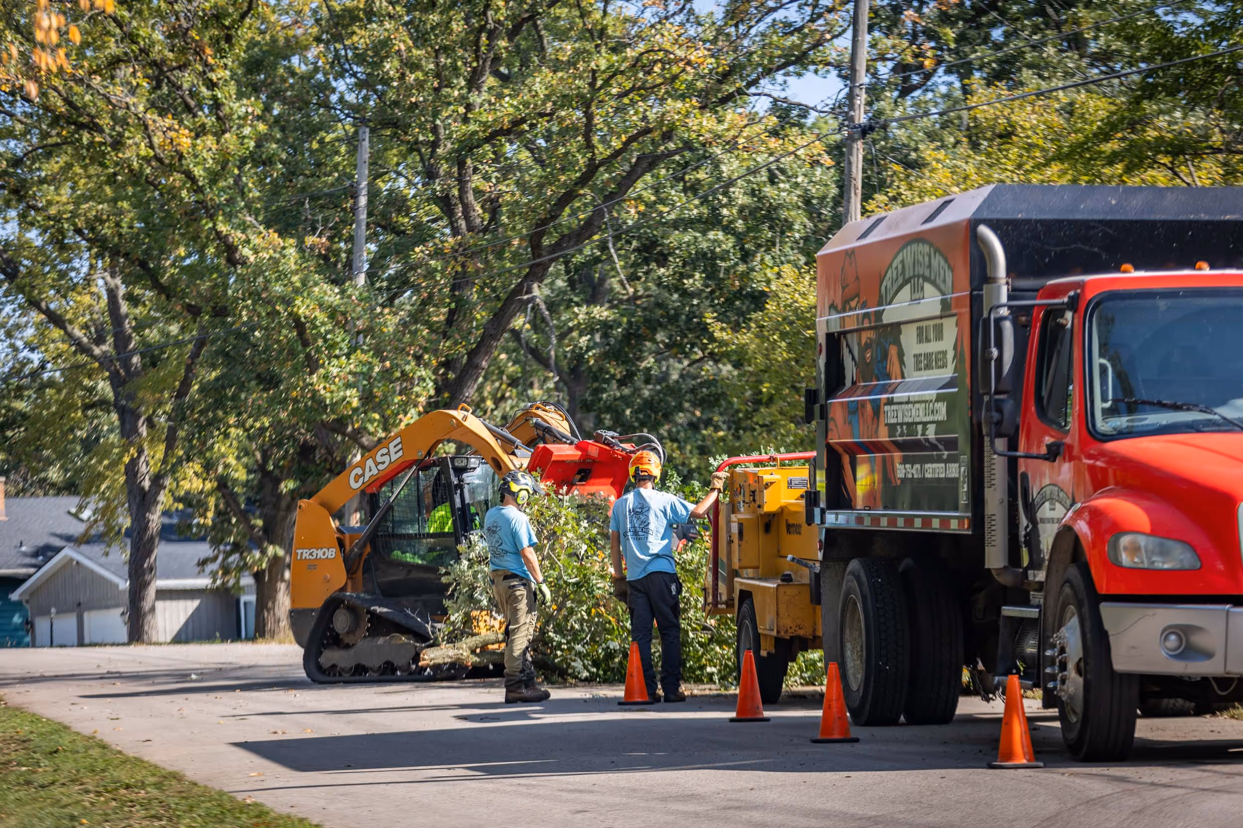 Tree Wise Men LLC crew at work