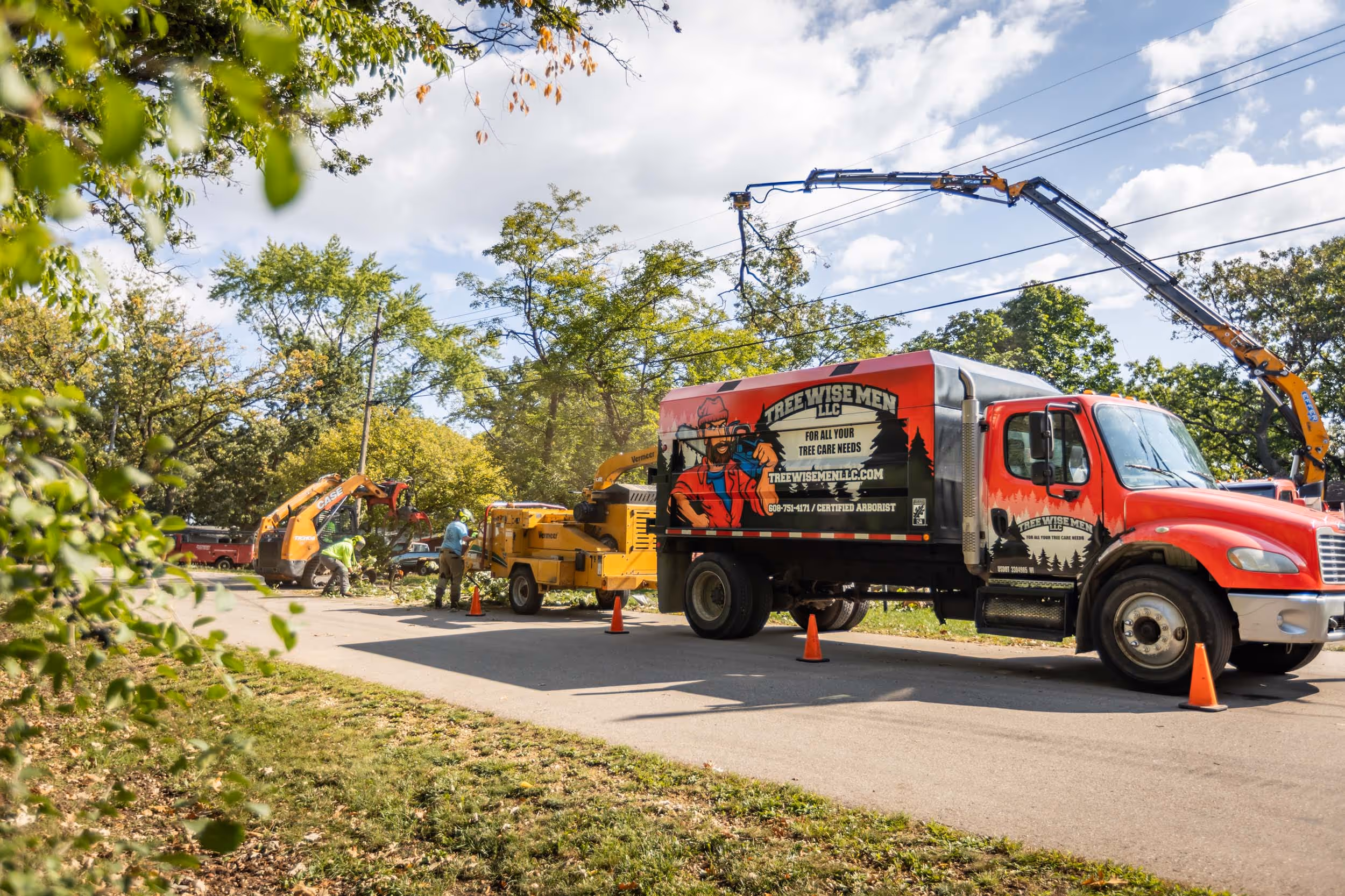 Tree Removal