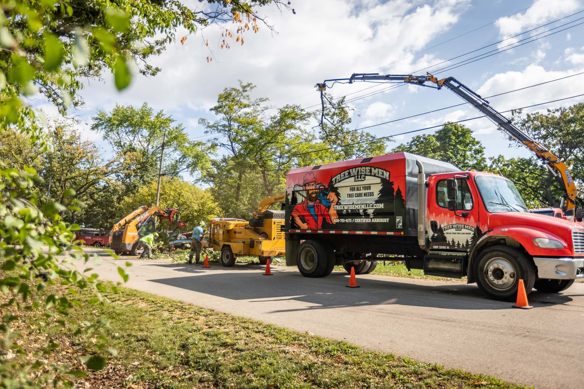 Arborist removing deadwood from canopy