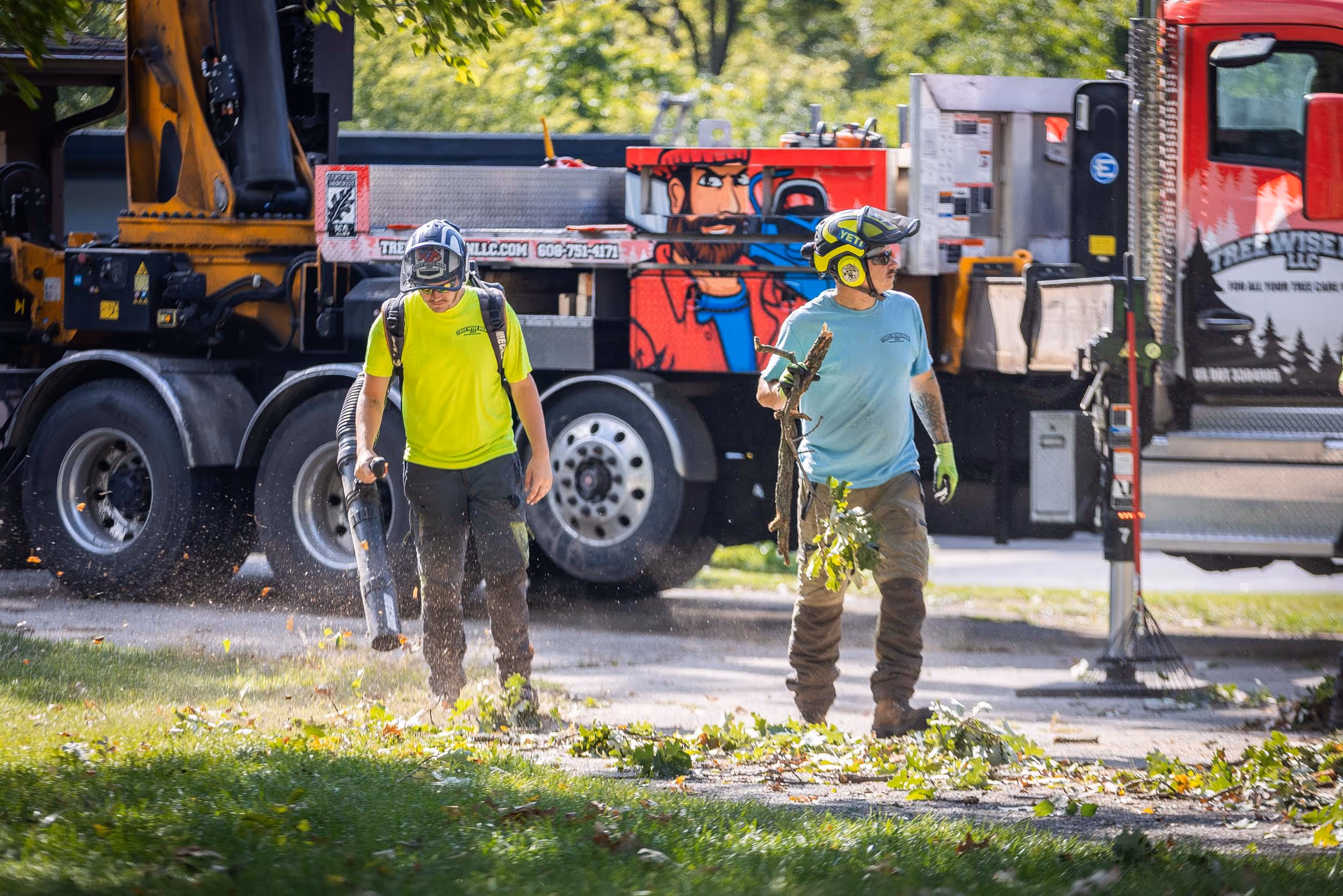 Stump Grinding for My Janesville Property
