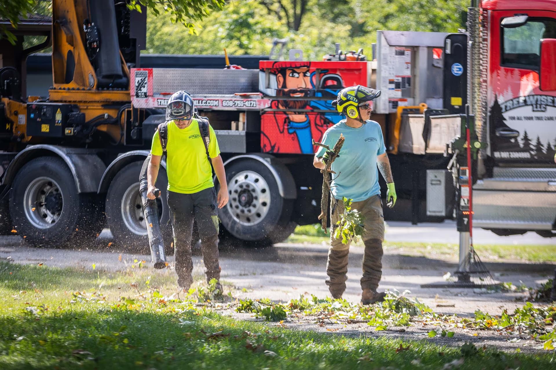 Stump Grinding for My Janesville Property