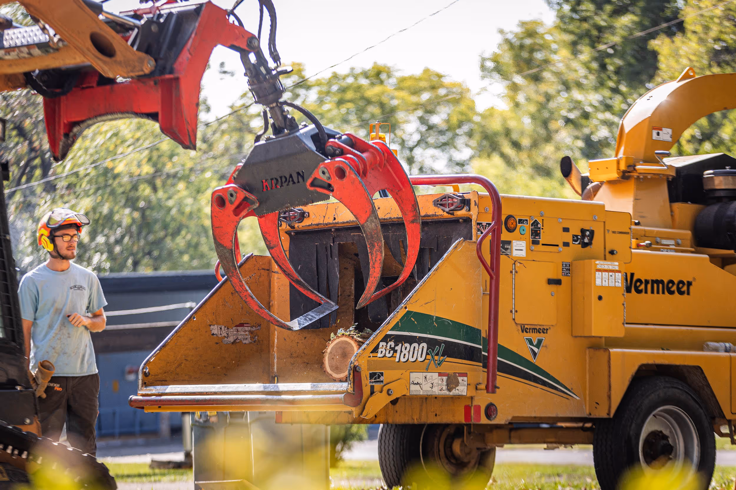 What is the Cheapest Way to Cut Down a Tree in Janesville, WI