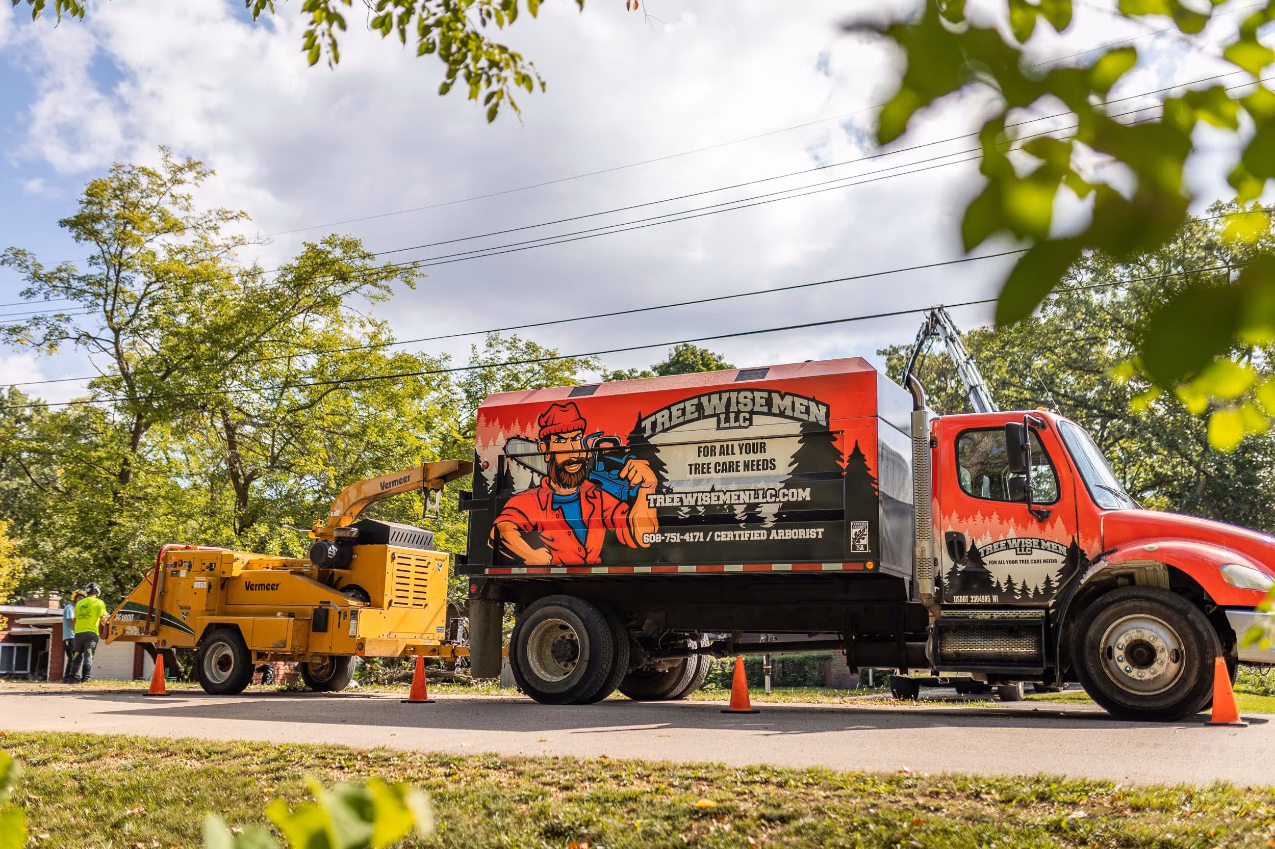 Madison Tree Pruning Calendar: When to Prune by Species