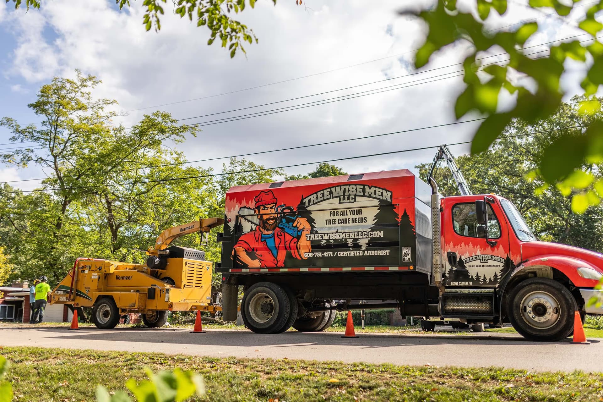What is the Cheapest Time of Year for Tree Removal in Janesville, WI