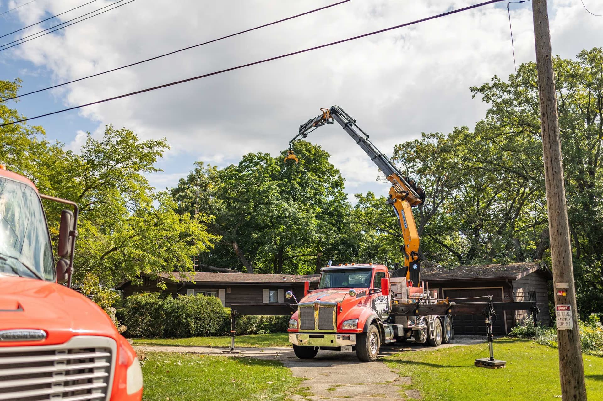 Tree Wise Men LLC: Safeguarding Janesville through Expert Hazardous Tree Removal
