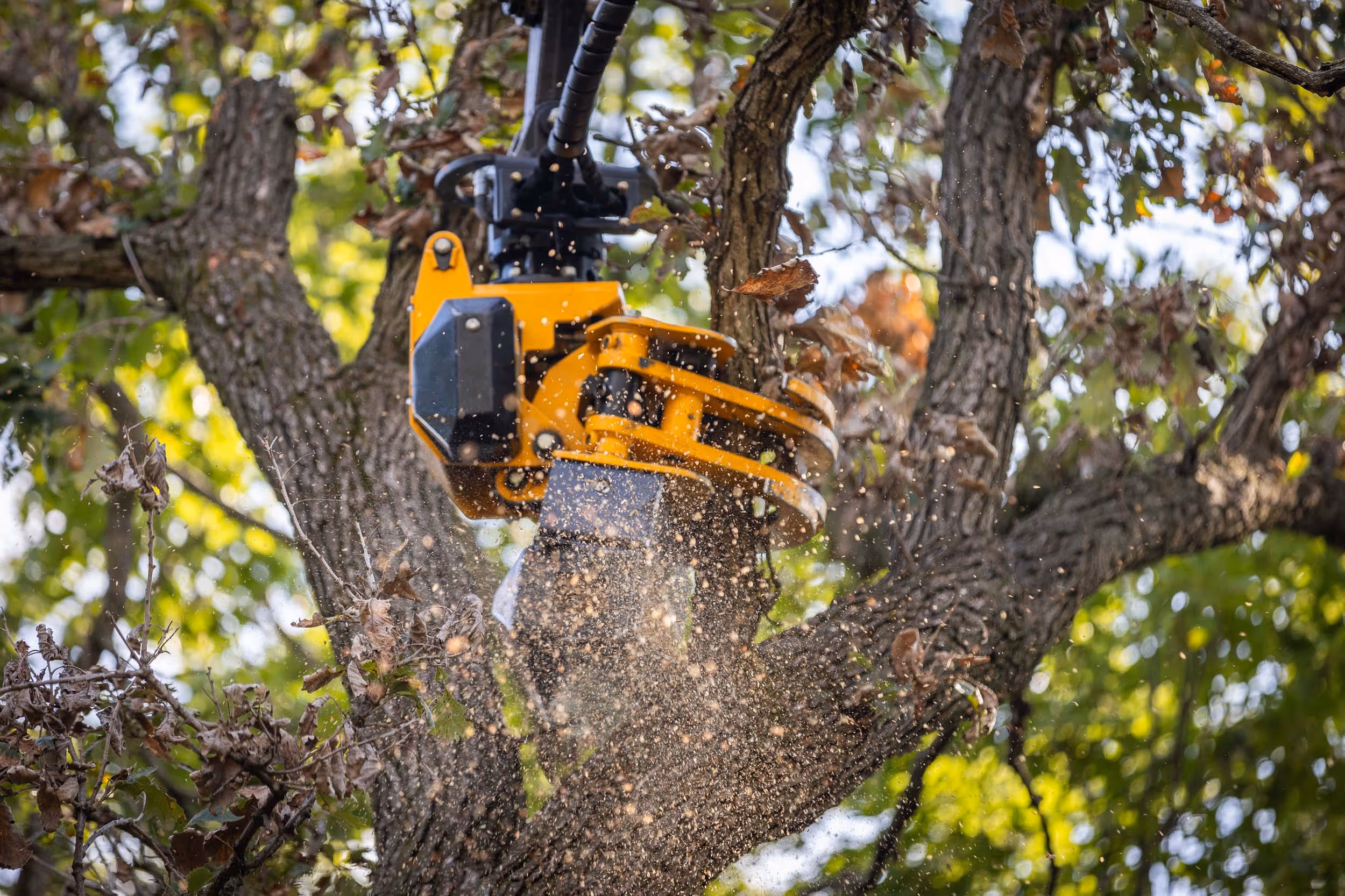 Spring Storm Preparation: Protecting Your Trees in Southern Wisconsin