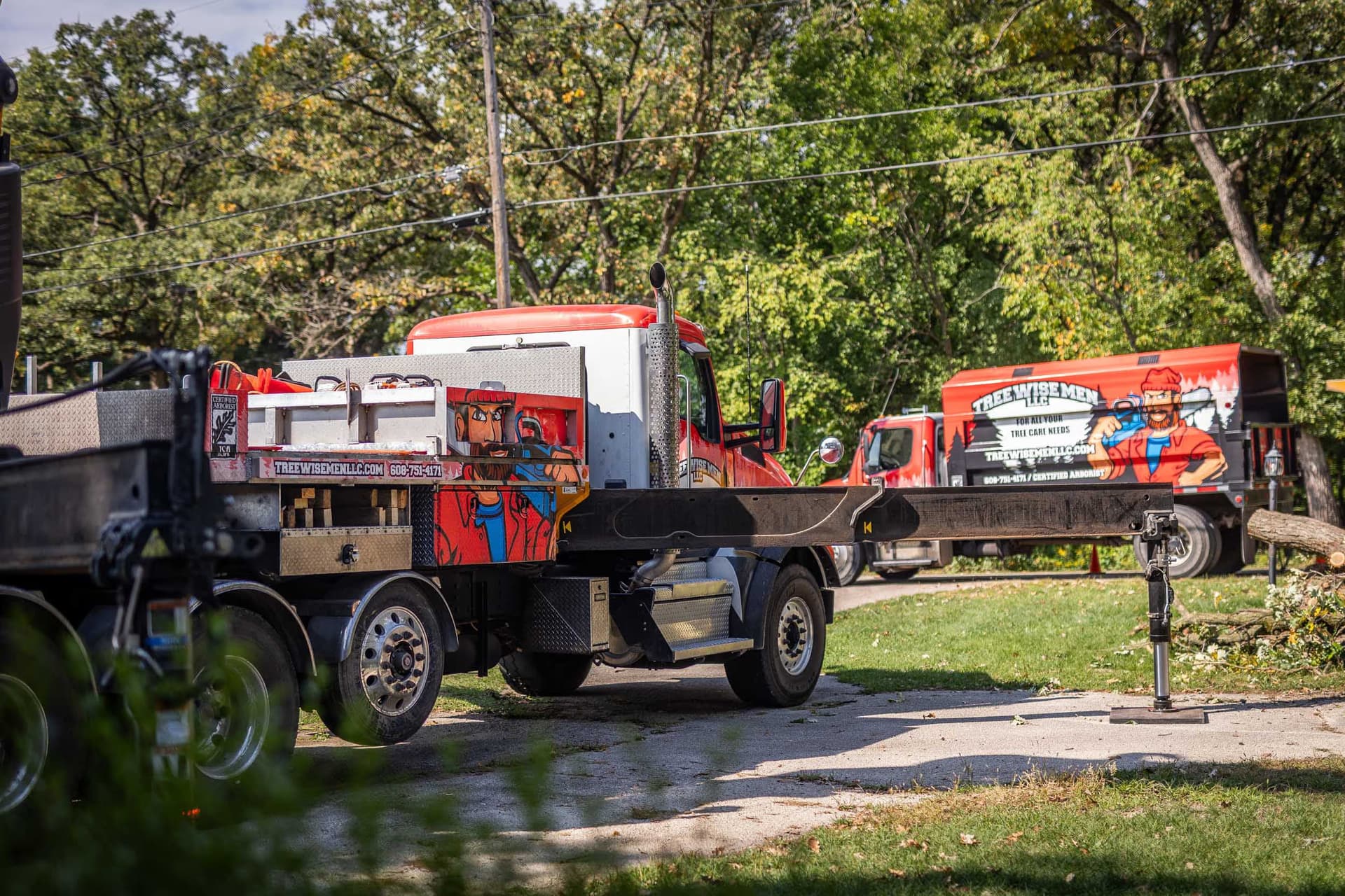Stump Grinding & Removal