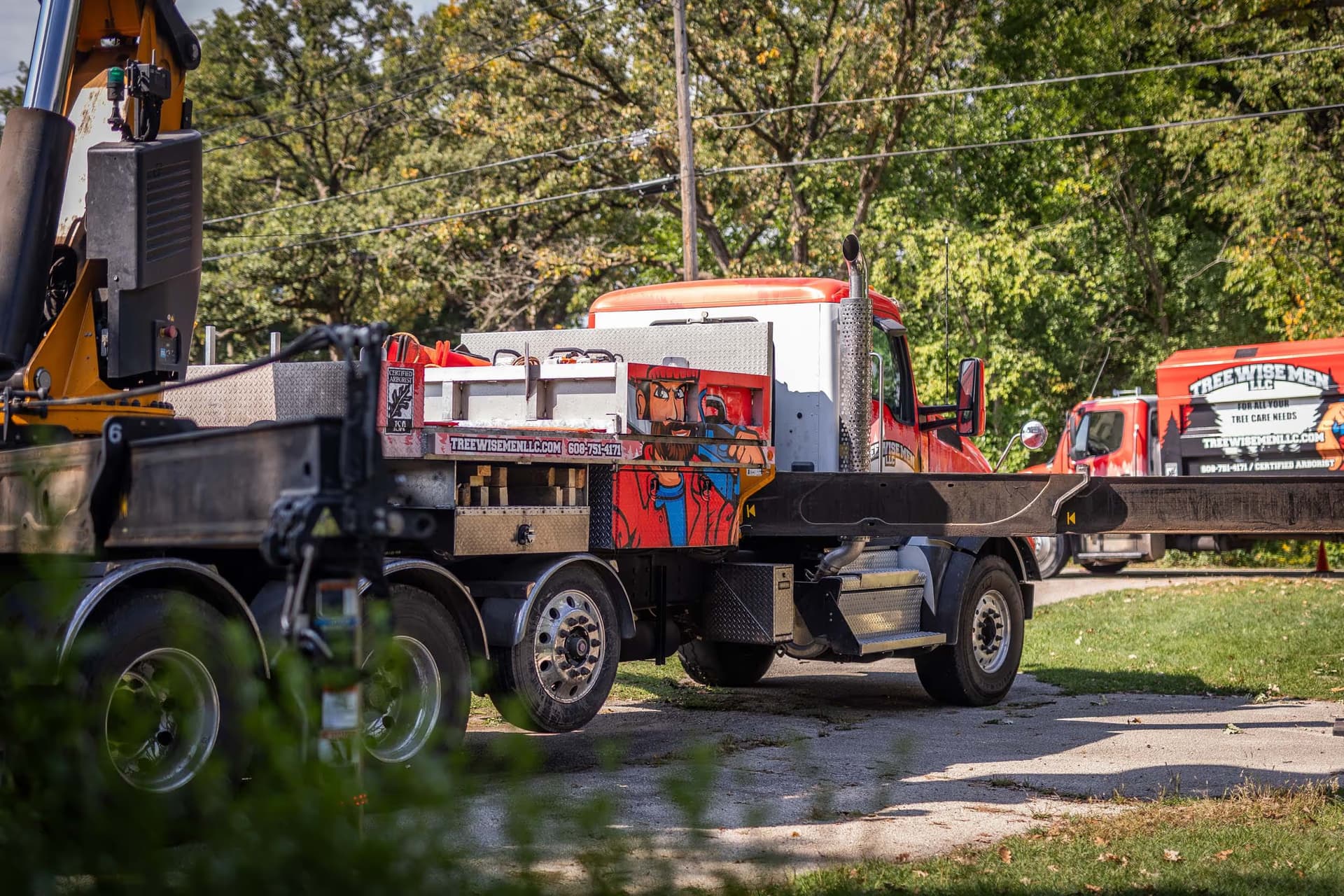 Tree Wise Men crew at work in Southern Wisconsin