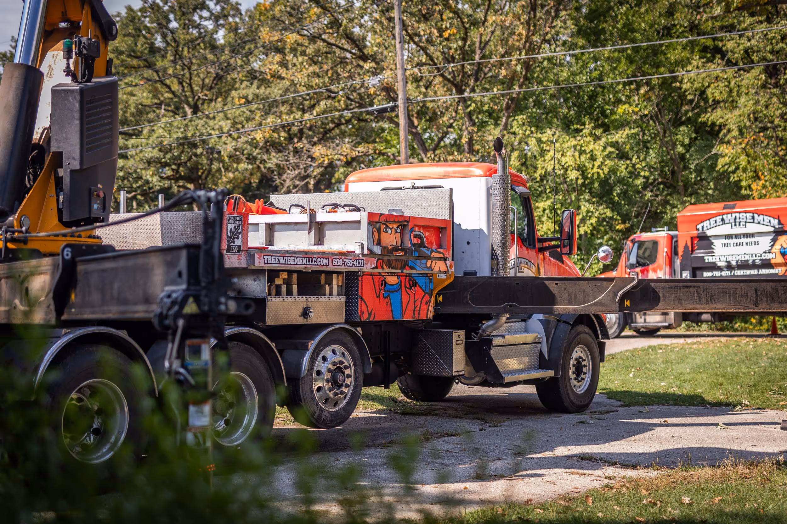 Tree Wise Men crew at work in Southern Wisconsin