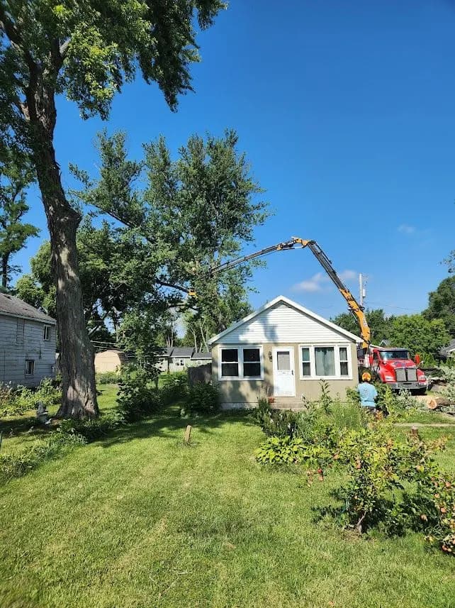 Tree Wise Men equipment - Effer 655 Grapple Saw