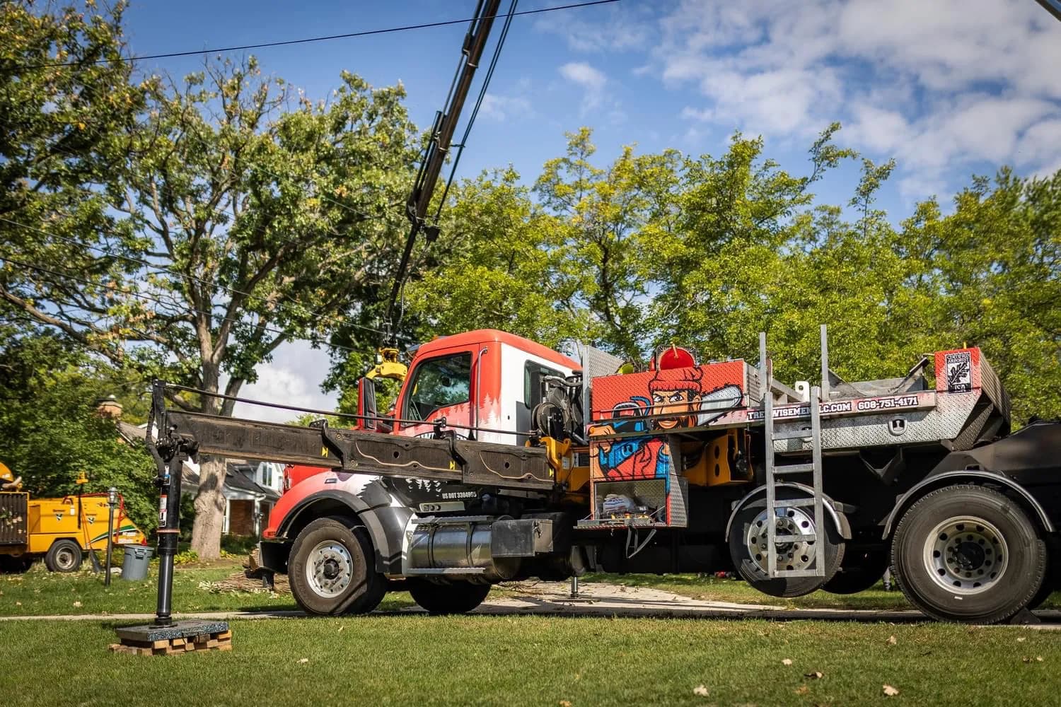 Professional tree care service in Madison, Wisconsin