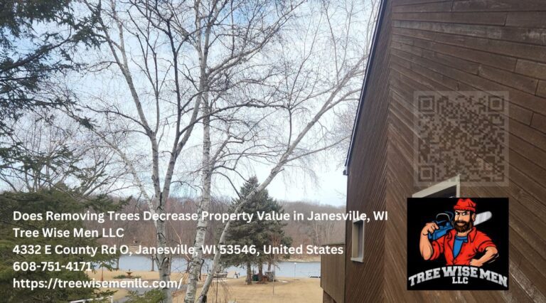 Does Removing Trees Decrease Property Value in Janesville, WI