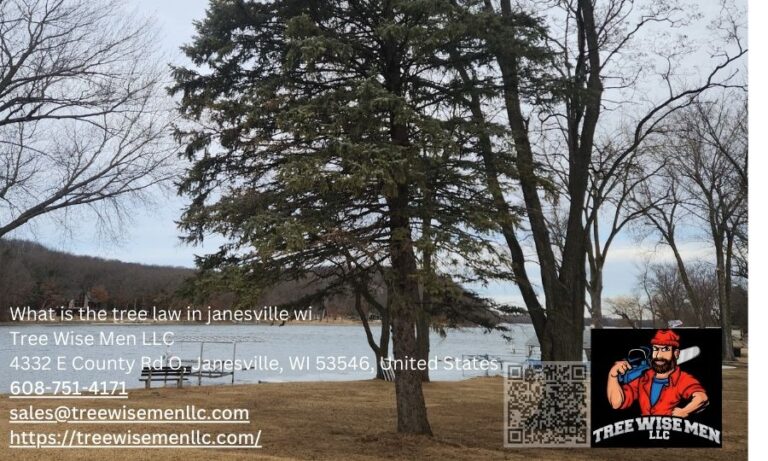 What is the tree law in janesville wi